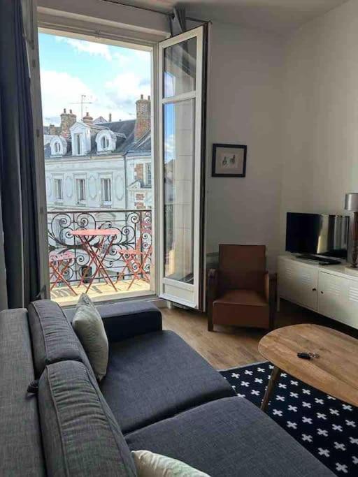 ~Rosa Bonheur~Hyper Centre Appartement Blois Buitenkant foto